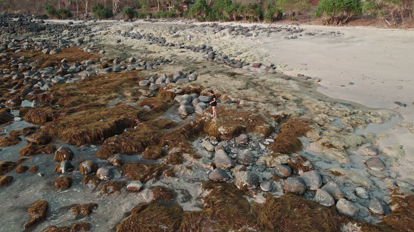 Aerial view of an Asian woman standing on a rocky seaweed coastline with crashing waves.
