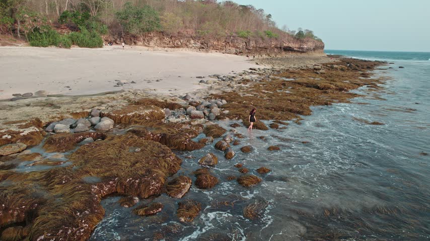 Aerial view of an Asian woman standing on a rocky seaweed coastline with crashing waves.
