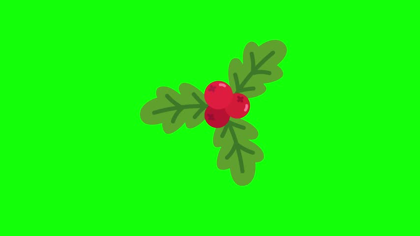 Festive cartoon holly illustration with vibrant red berries and green leaves on chroma key