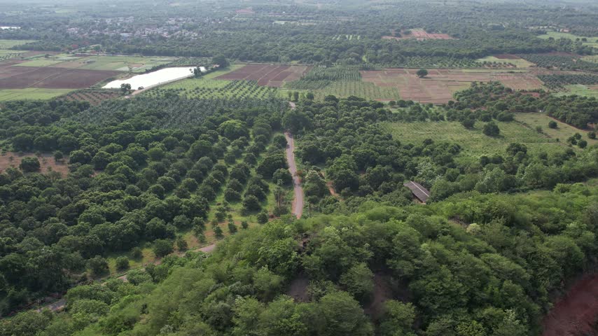 Aerial View of Lush Green Forest Hills, Agricultural Farmland and Rural Landscape