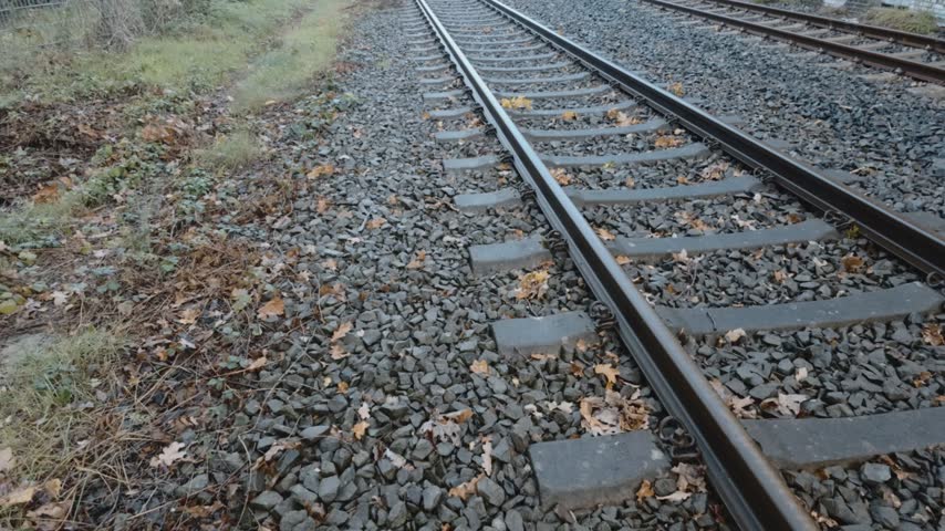 A close view of train tracks running through a wooded area. The ground is covered with stones and fallen leaves, indicating autumn weather.