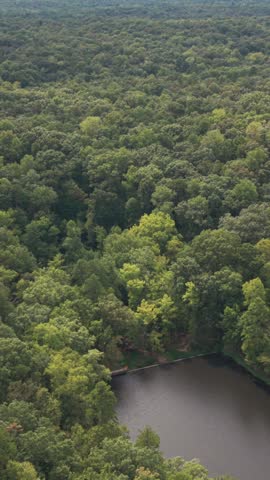 Overhead view of small pond surrounded by forest in Kings Mountain State Park in South Carolina