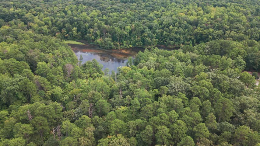 Overhead view of small pond surrounded by forest in Kings Mountain State Park in South Carolina