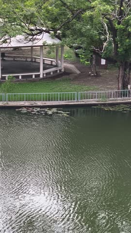 Peaceful public park pond with ripples on water surface and pavilion under green tree shade