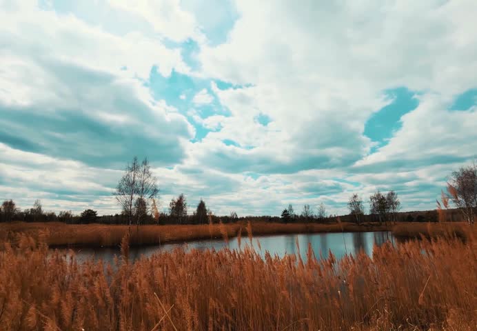 Autumn wetland landscape with lake, reeds and dramatic cloudy sky