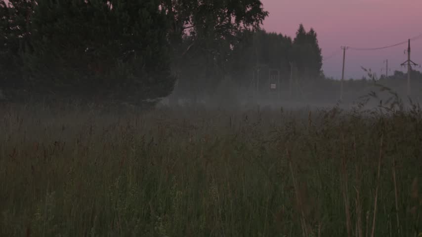 Natural evening fog drifting over a grassy field near a rural road at sunset. Soft mist, pink twilight sky and dark silhouettes of trees in a peaceful summer landscape.