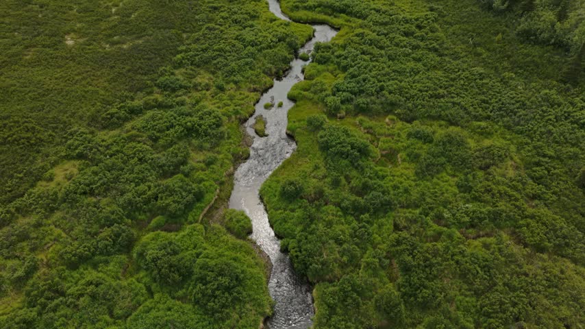 Aerial view of a winding creek flowing through tundra landscape near Denali National Park, Alaska, USA. July 11, 2025. 