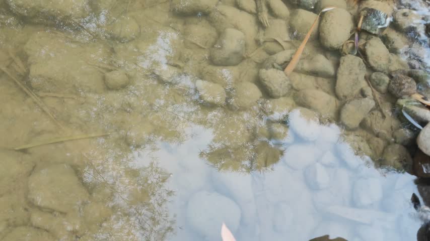 Close-up of a person