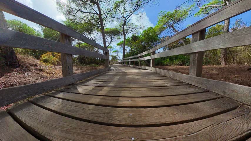 Low angle POV walk along a wooden boardwalk surrounded by pine trees, capturing the textured wooden planks and immersive forward movement through a natural forest setting.