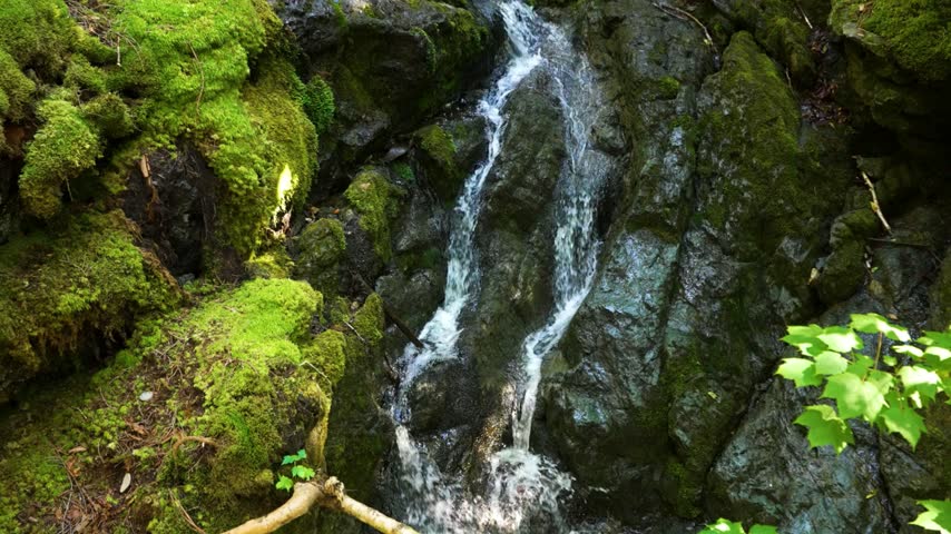  A natural freshwater spring emerges from rocky terrain, with clear water flowing down between stones and gradually reaching a nearby stream. The continuous movement of water creates a refreshing natural scene, showcasing the beauty of flowing freshwater and the rugged texture of rocks.