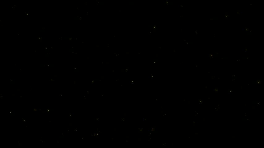 Sparkling magical fairy dust floating gently