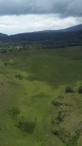 The Green Carpet of Wurung