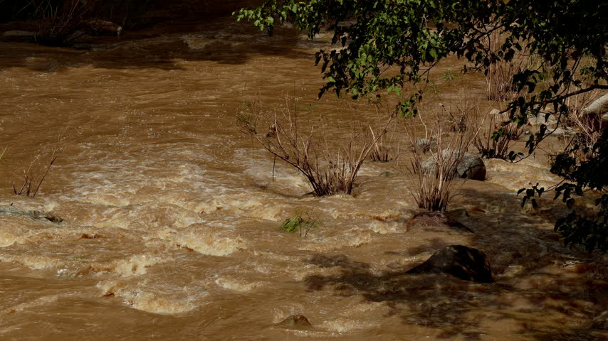 Turbulent muddy river rapids and flash flood flowing swiftly through rocks in forest