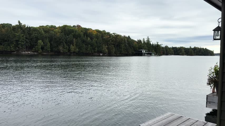 Calm lake water and forest shoreline under overcast sky, viewed from a dock