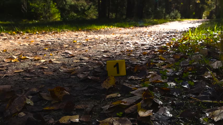 Yellow forensic evidence markers with numbers one and two standing on a muddy road in an autumn forest, indicating a crime scene investigation with clues among the fallen leaves