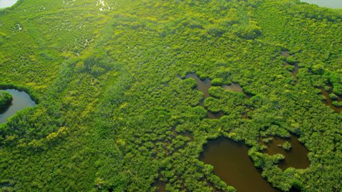 Aerial view Everglades National Park swamps and Wetlands the largest Sub tropical region in Southern Florida, USA, RED EPIC