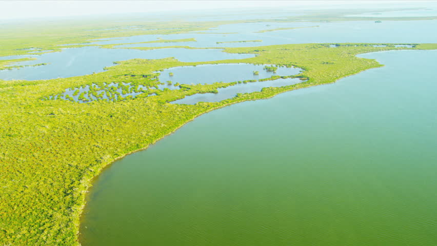 Aerial view Everglades National Park swamps and Wetlands the largest Sub tropical region in Southern Florida, USA, 
RED EPIC