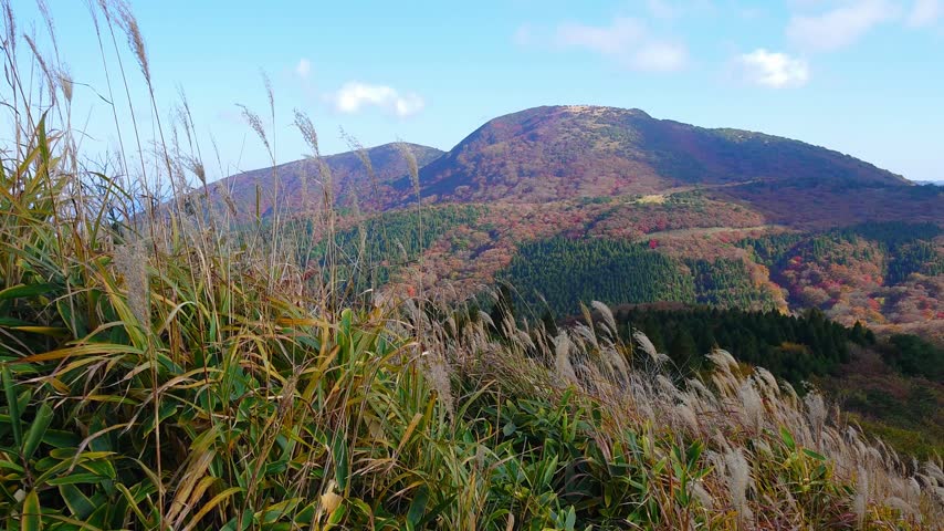 Mountains and Autumn Foliage (Kokonoe Town, Oita Prefecture)