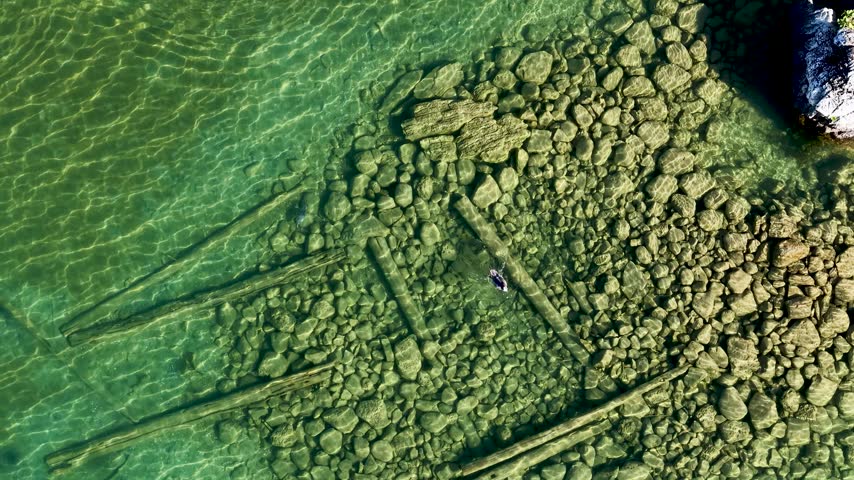 Merganser underwater passes over a shallow rocky strip with submerged logs visible through clear green Lake Huron water near Hessel.