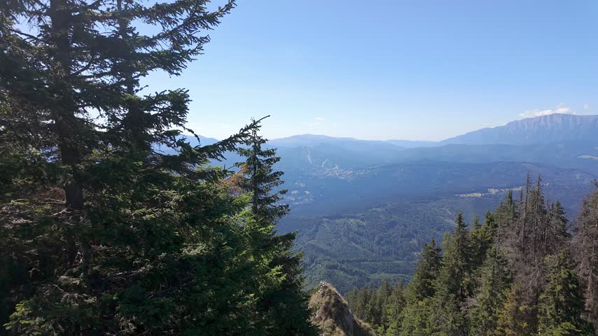 Panoramic mountain valley view framed by evergreen forest on Postavarul Mountain near Brasov Romania