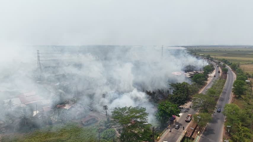 Aerial view of wildfire burning woodland with heavy smoke plume