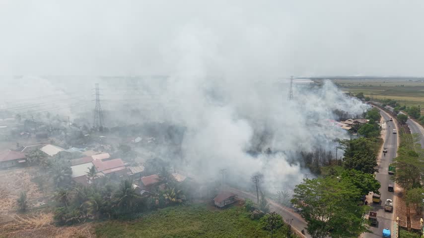 Aerial view of wildfire burning woodland with heavy smoke plume