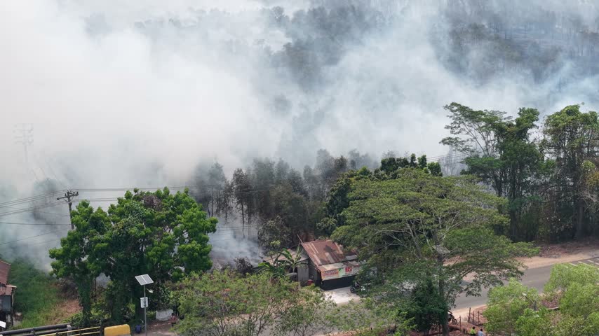 Aerial view of wildfire burning woodland with heavy smoke plume