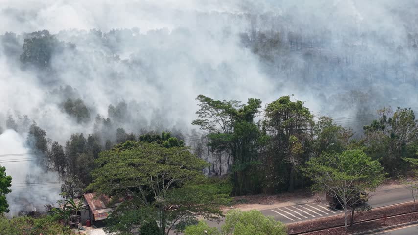 Aerial view of wildfire burning woodland with heavy smoke plume