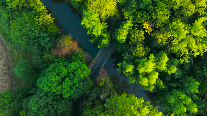 Black SUV driving across narrow vintage bridge over calm river in lush green forest. Top down drone view with dark vehicle on secluded country road. Summer woodland and water scenery from aerial