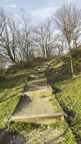 Sunlit Trail Leading Uphill Through Nature