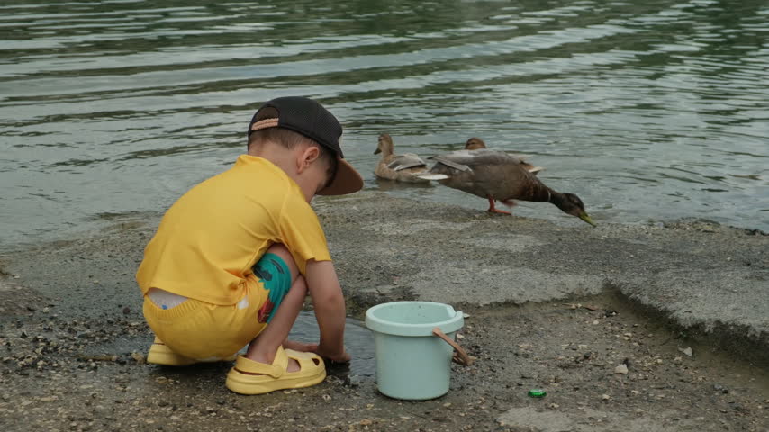 Young boy in yellow clothes plays with a bucket and feeds ducks on a lakeshore