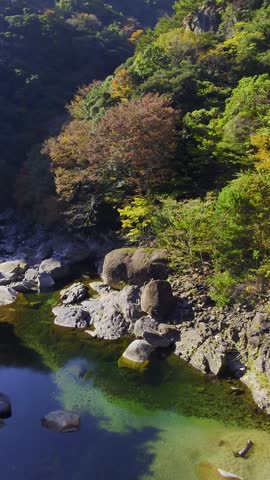 Autumn foliage in the gorge (Miyazaki Prefecture)