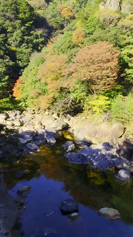 Autumn foliage in the gorge (Miyazaki Prefecture)