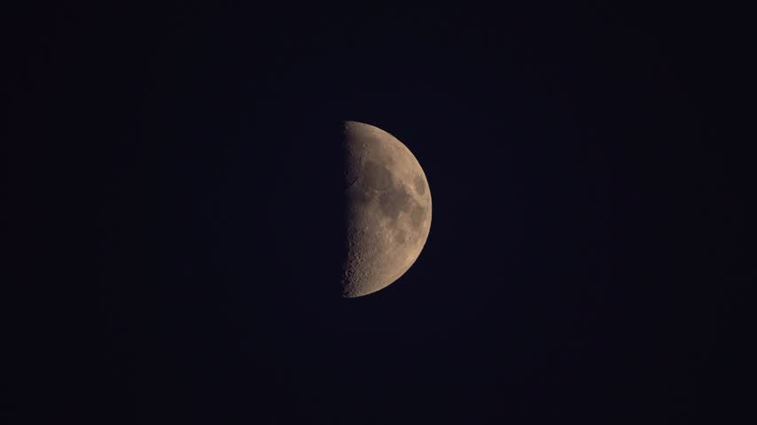 Detailed close-up view of the half moon with visible craters in a black sky

A close-up shot of the half moon showing surface details, craters, and maria against the dark expanse of space. The sharp contrast highlights the lunar texture and shadow line during twilight.