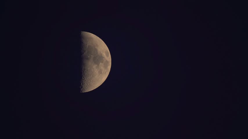 Detailed close-up view of the half moon with visible craters in a black sky

A close-up shot of the half moon showing surface details, craters, and maria against the dark expanse of space. The sharp contrast highlights the lunar texture and shadow line during twilight.