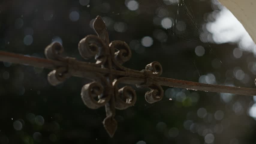 Ornate rusted iron finial on horizontal rail with curled scrollwork, flaking paint, spiderweb strands, dust particles, soft side backlight, shallow depth, muted garden detail