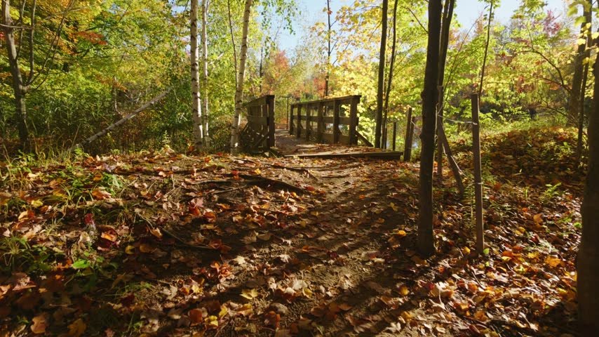 The camera advances along a leaf-covered trail onto a wooden footbridge beside a pond in Antoine-Charlebois Ponds Park, Quebec.