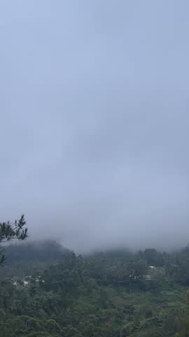 a beautiful view with misty