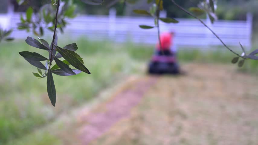 Meticulous gardener working patiently on a large backyard area, cutting dense post-winter grass using a sturdy red ride-on mower during spring.