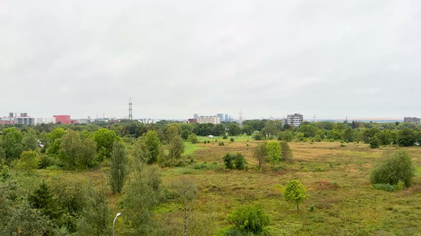 Green meadow with scattered trees and distant urban buildings