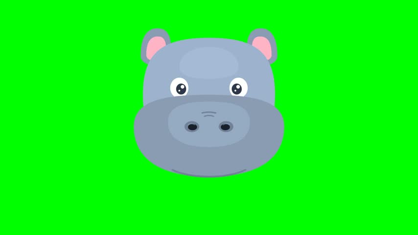 A cute animated hippopotamus face appears centered against vivid green chroma key backdrops. This flat vector style character design displays simple geometric shapes with soft grey tones plus rounded features. The cheerful mammal maintains neutral expressions while floating within frames for easy digital editing purposes.