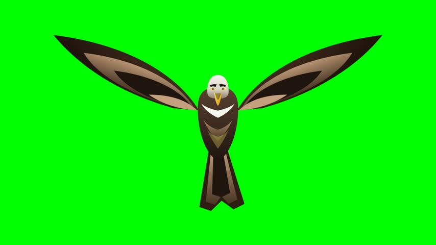 A stylized brown eagle with a bright white head and yellow beak glides through the air in a flat style. This creature displays wings fully extended against a solid chroma key backdrop for easy isolation. The minimalist appearance creates a clean look, perfect for seamless compositing in various digital creative projects.