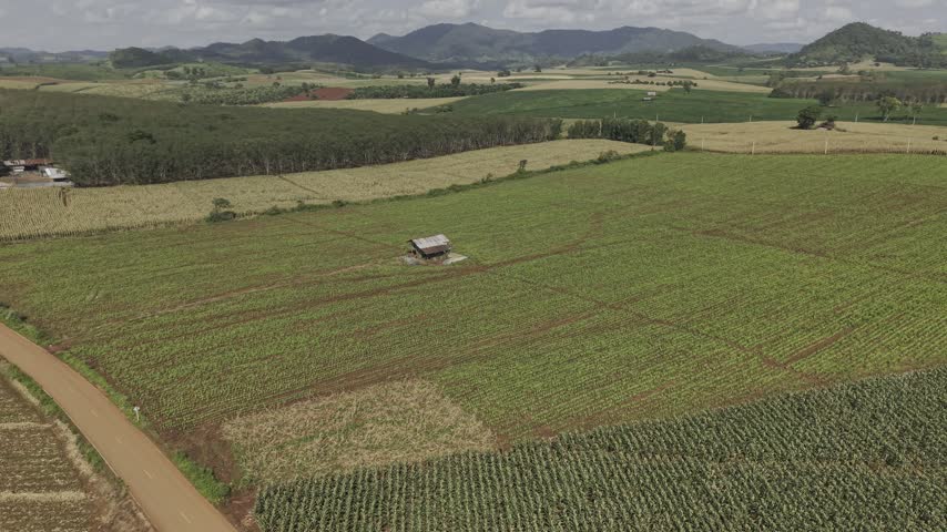 Beautiful aerial landscape of patterned agricultural land divided by a sweeping red dirt road.