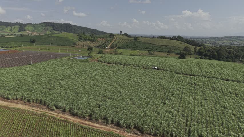 Tranquil drone view of a countryside junction among cornfields, plowed land and tin-roof farm houses.