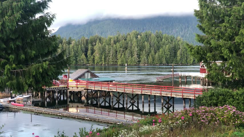 Wooden pier and forest along the Tofino waterfront, Canada.