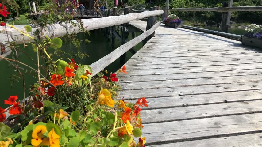 Wooden walkway leading toward a cabin on a sheltered forest waterfront, Canada.