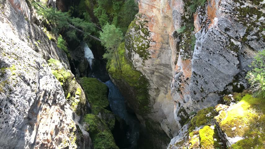 Pan across steep rock walls and evergreen trees in a forest canyon, Canada.