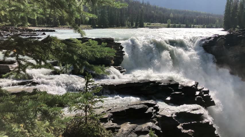 Athabasca River cascading over layered rocks in Jasper National Park, Canada.