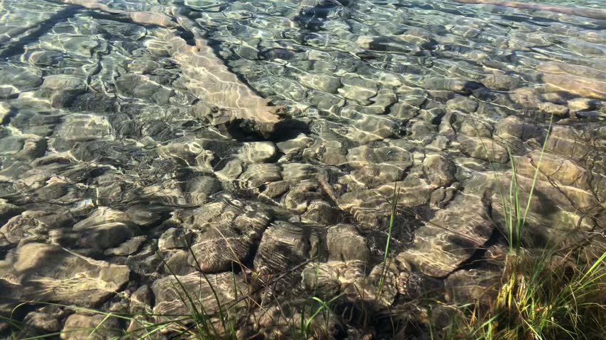 Pan from clear rocky shallows toward a turquoise lake in Jasper National Park, Canada.
