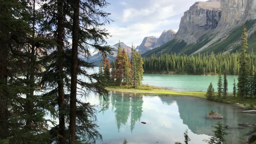 Spirit Island and mountain reflections framed by foreground evergreen trees, Canada.
